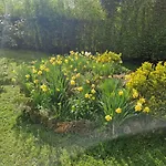 Confort & Nature, Calme Et Convivial 别墅 *