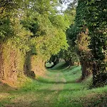 Confort & Nature, Calme Et Convivial 别墅 Bazoches-sur-Hoëne