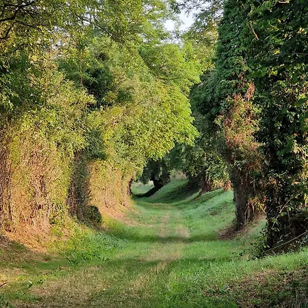 Confort & Nature, Calme Et Convivial Villa Bazoches-sur-Hoëne