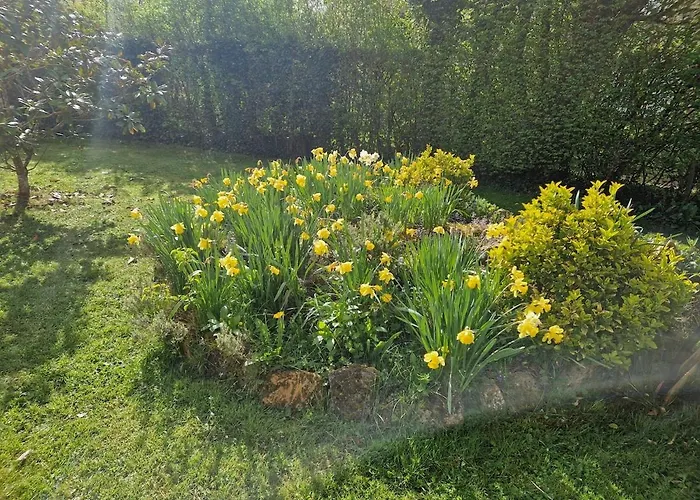 Confort & Nature, Calme Et Convivial Villa *