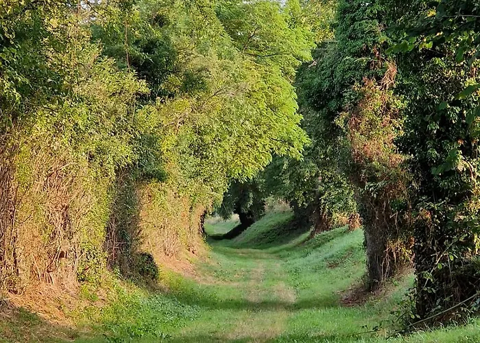 Confort & Nature, Calme Et Convivial Villa Bazoches-sur-Hoëne